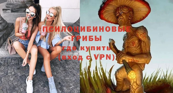 apvp Мегион