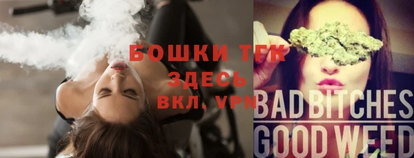 стафф Михайлов