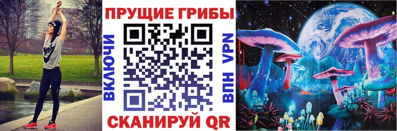 что такое наркотик  Динская  блэк спрут сайт  Галлюциногенные грибы Magic Shrooms 
