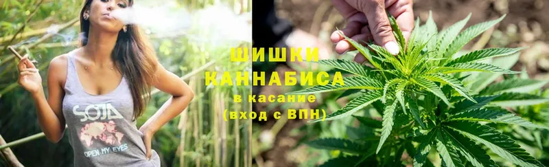 мориарти какой сайт  Динская  Шишки марихуана Ganja 